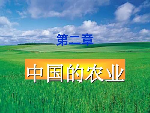 中国的农业ppt3 湘教版