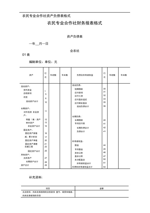 农民专业合作社资产负债表格式