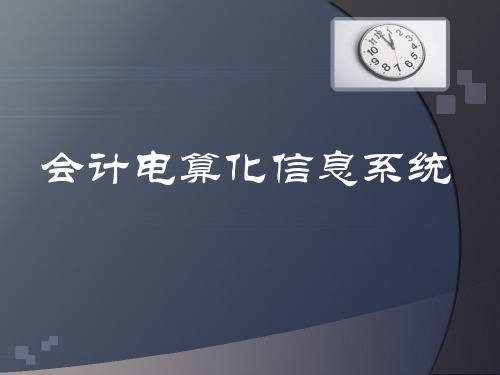 会计电算化信息系统详解