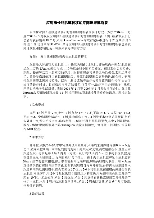 应用拇长屈肌腱转移治疗陈旧跟腱断裂