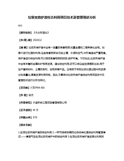 垃圾焚烧炉渣综合利用项目技术及管理现状分析