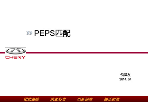 PEPS匹配培训材料