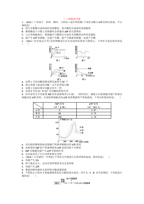 【优化探究】2019届高三生物二轮复习 特色专项训练(二)细胞的代谢