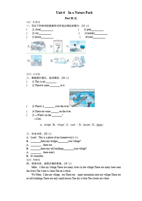 课时测评-英语人教PEP5年上 unit6 In a nature park-PartB试题及答案 (3)