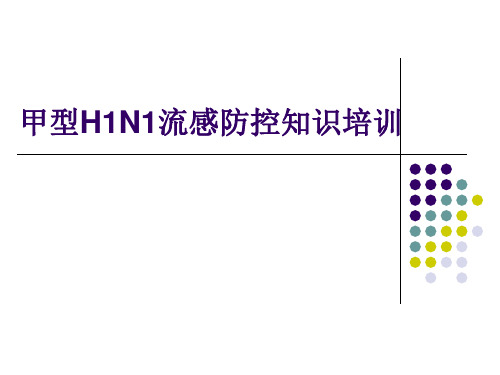 甲型H1N1流感防控培训