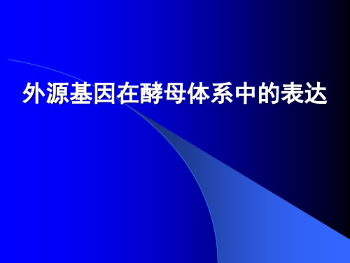 外源基因在酵母体系中表达