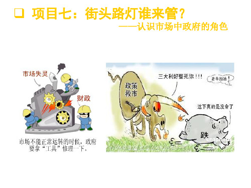 经济学基础 市场中政府的角色 课件PPT