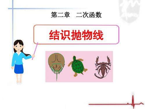 北师大版九年级数学下册结识抛物线公开课课件