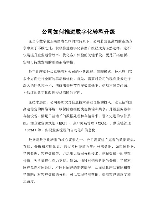 公司如何推进数字化转型升级