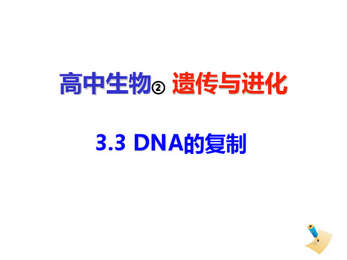 3.3DNA的复制(2)