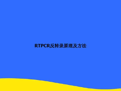 RTPCR反转录原理及方法PPT资料【优选版】