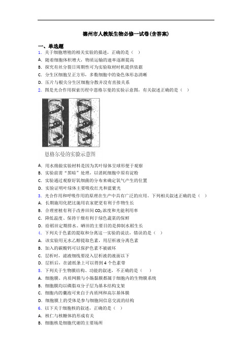 德州市人教版生物必修一试卷(含答案)