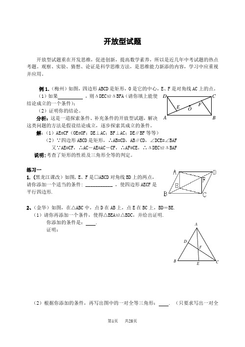 中考第二轮复习专题开放探索性专题_资料 开放探索性专题 开放型试题