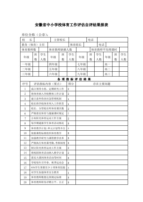 安徽中小学校体育工作评价自评结果报表