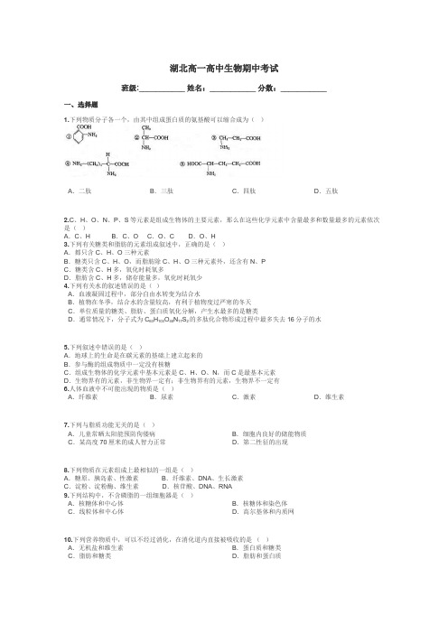 湖北高一高中生物期中考试带答案解析
