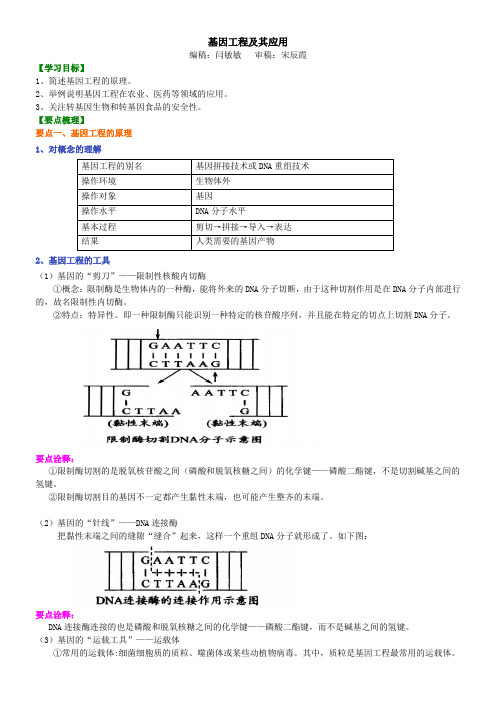 高中生物30基因工程及其应用-知识讲解