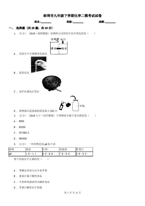 蚌埠市九年级下学期化学二模考试试卷 