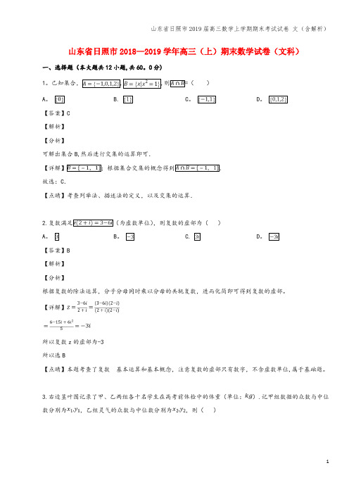 山东省日照市2019届高三数学上学期期末考试试卷 文(含解析)