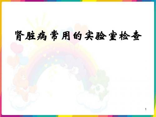 肾病常用实验室检查 ppt课件