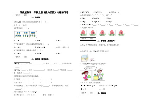 二年级上册《数与代数》专题练习卷及答案-苏教版数学