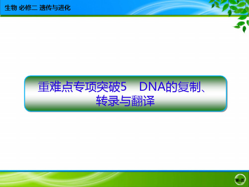 2020-2021学年高一生物人教版必修二 重难点专项突破5  DNA的复制、转录与翻译 课件