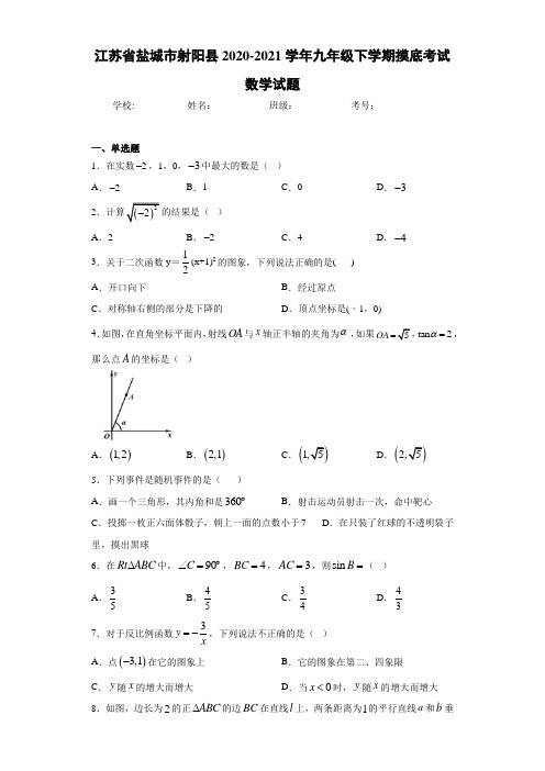 江苏省盐城市射阳县2020-2021学年九年级下学期摸底考试数学试题