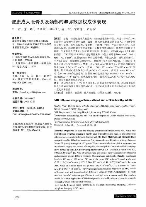 健康成人股骨头及颈部的MR弥散加权成像表现