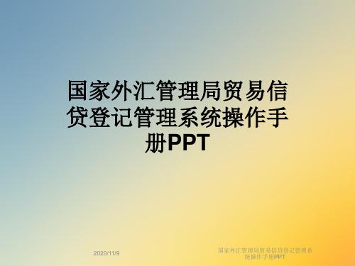 国家外汇管理局贸易信贷登记管理系统操作手册PPT