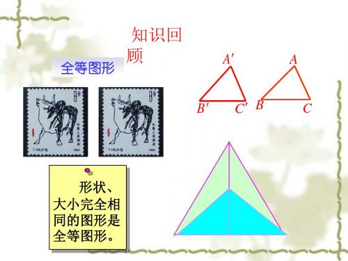 九年级数学下册课件：27.1 图形的相似共25张PPT