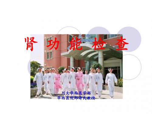 12肾功能