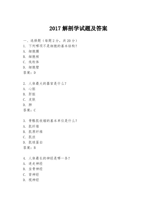 2017解剖学试题及答案