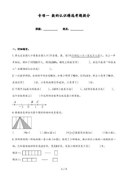 小学数学小升初复习(通用版)专项一数的认识精选考题提分(附参考答案)