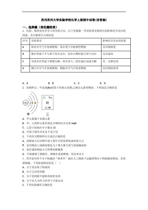 苏州苏州大学实验学校化学初三化学上册期中试卷(含答案)