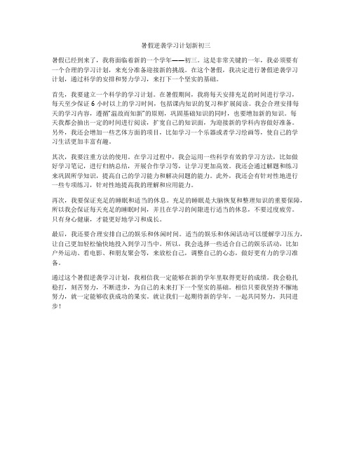 暑假逆袭学习计划新初三