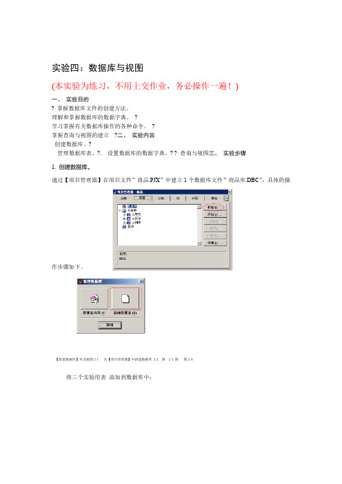 指导书 实验四数据库与视图分析