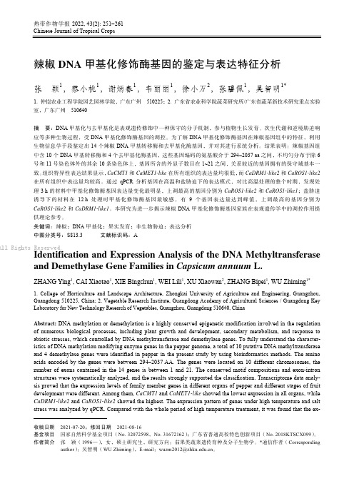 辣椒DNA甲基化修饰酶基因的鉴定与表达特征分析