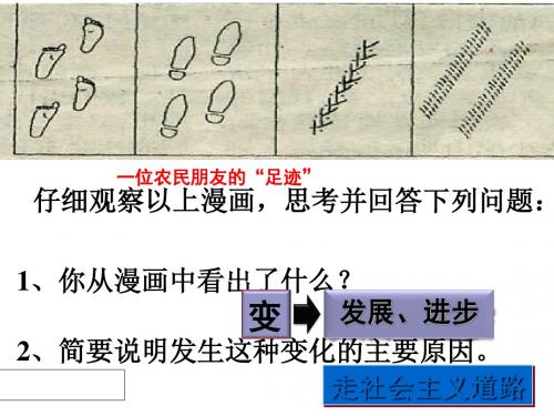 发展中的社会主义概述(共 32张PPT)