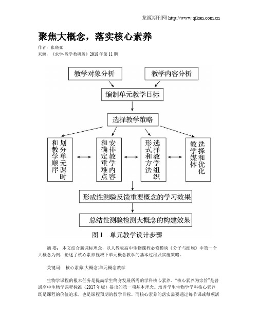 聚焦大概念,落实核心素养