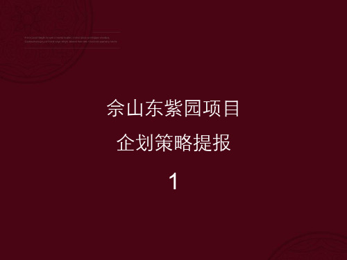 合生佘山东紫园项目企划策略提报