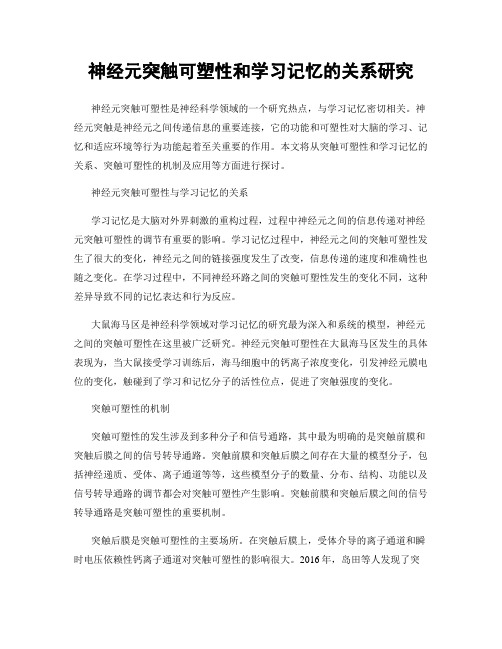 神经元突触可塑性和学习记忆的关系研究