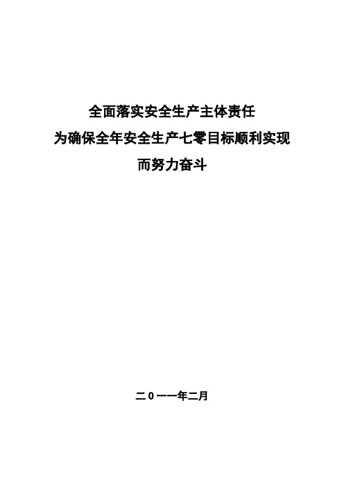 2010年度安全生产工作总结