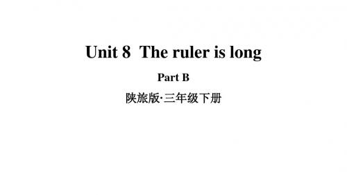 陕旅版三年级英语下册优质公开竞赛课件 Unit 8 Part B