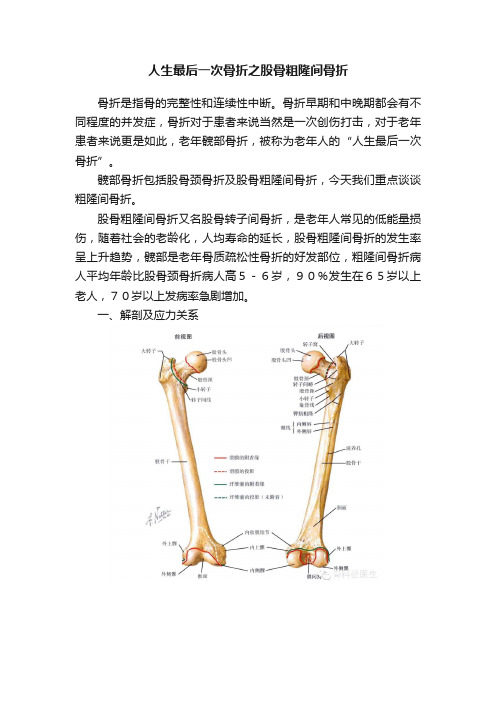 人生最后一次骨折之股骨粗隆间骨折