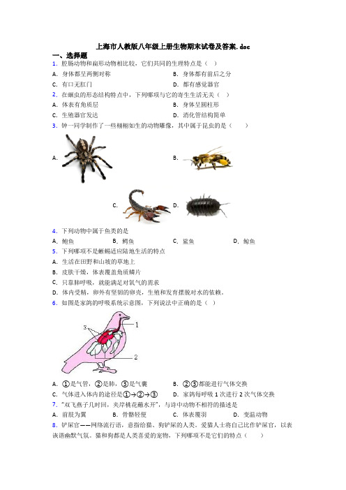 上海市人教版八年级上册生物期末试卷及答案.doc