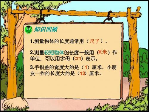 最新苏教版数学二上《认识米》ppt精品课件1