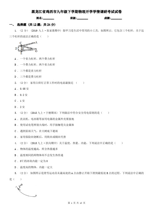 黑龙江省鸡西市九年级下学期物理开学学情调研考试试卷