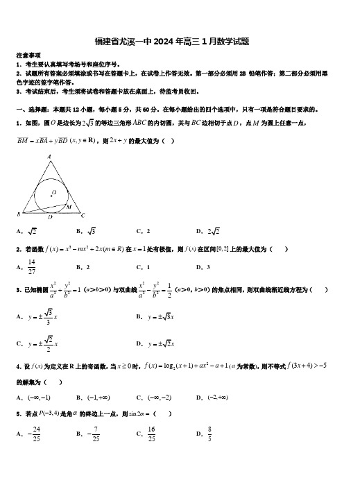 福建省尤溪一中2024年高三1月数学试题