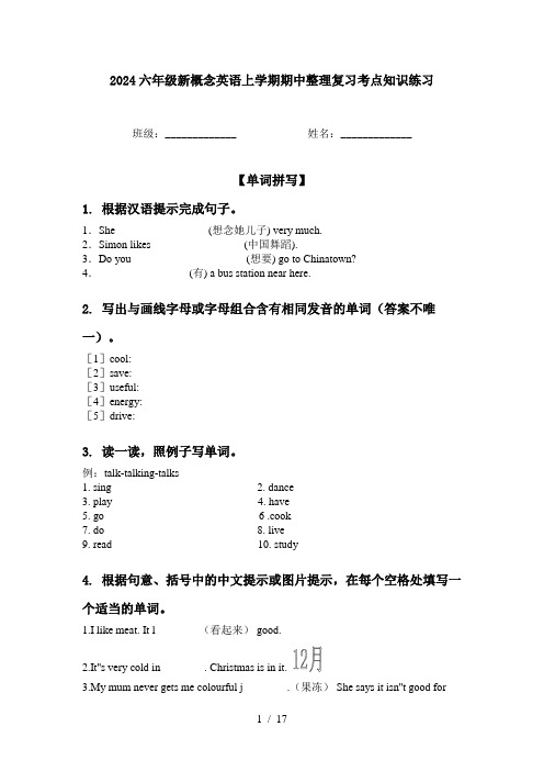 2024六年级新概念英语上学期期中整理复习考点知识练习