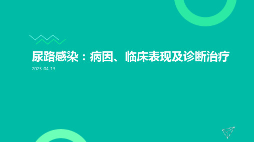 尿路感染：病因、临床表现及诊断治疗