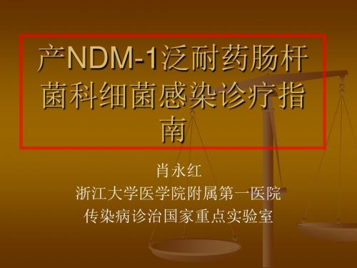 产NDM-1泛耐药肠杆菌科细菌感染诊疗指南